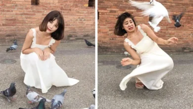 18 imagens dos bastidores das ‘fotos perfeitas’ que sempre vemos na internet