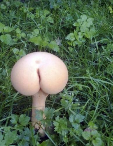 poluiu nossa mente 07