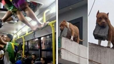 30 fotos que provam que o Brasil é definitivamente diferente de qualquer outro país