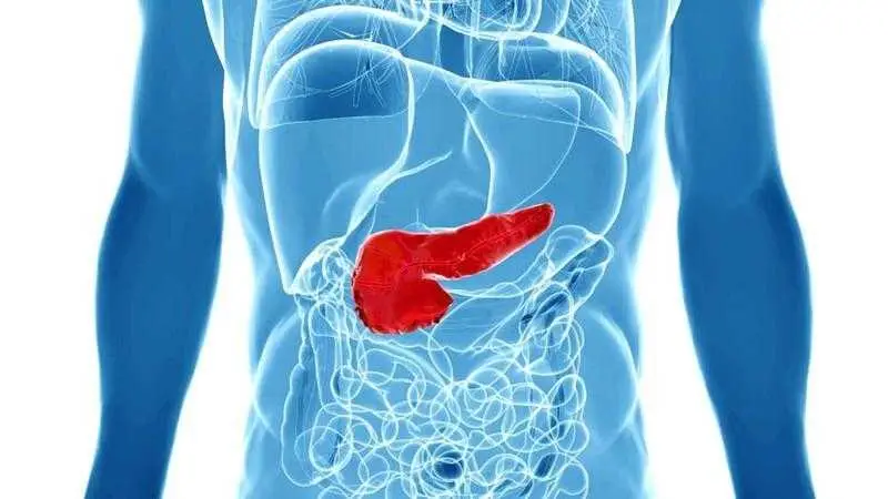 5 sintomas para detectar o cancer de pancreas 5 sintomas para detectar o câncer de pâncreas