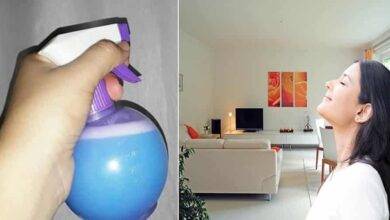 6 receitas caseiras para perfumar sua casa