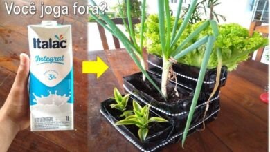 Aprenda a fazer jardineira reciclada e faça lixo em luxo