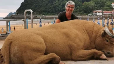Artista faz esculturas de areia hiper-realistas que parecem estar vivas