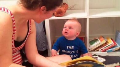 Bebê apaixonado por livros chora toda vez que uma história termina