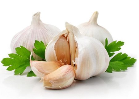 Como plantar alho em casa passo a passo Como plantar alho passo a passo