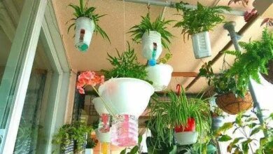 Criando Vasos Auto Irrigáveis Com Embalagens Recicladas