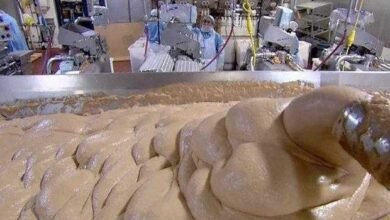 Depois de saber como é feita a salsicha, você nunca mais vai querer comer!