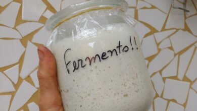 Fermento Caseiro para Pão | Bau das DICAS
