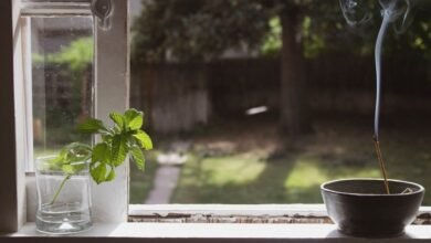 Livre-se de energias negativas existentes em sua casa; com essa dica incrível!