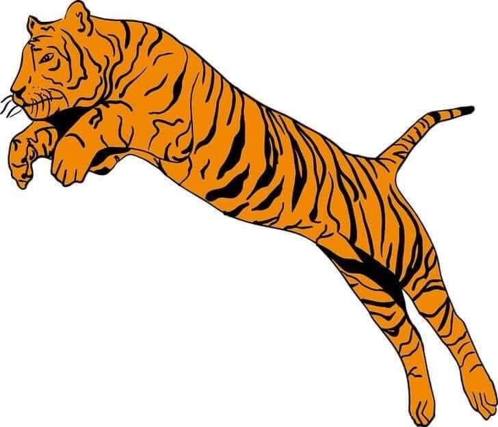 O primeiro animal que você enxergar revela algo extraordinário sobre você