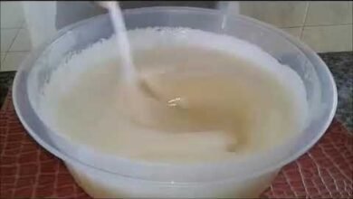 Sabão de coco em Barra – Limpeza Completa