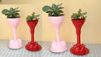Transformando Garrafas Pet em Vasos