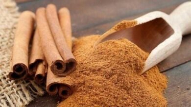 Canela combate o colesterol alto e reduz o acúmulo de gordura na barriga r