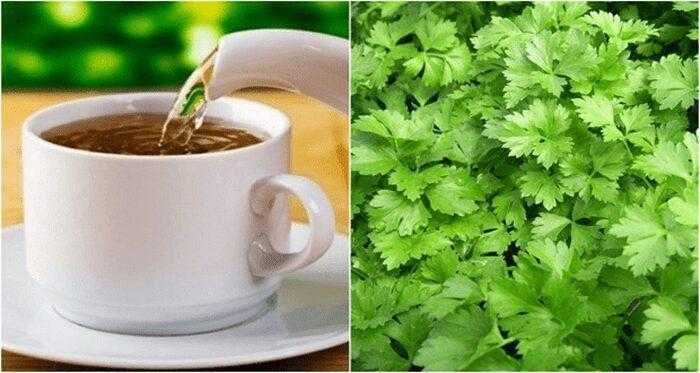 cha de salsa emagrece e cuida da sua saude Chá de salsa emagrece e cuida da sua saúde