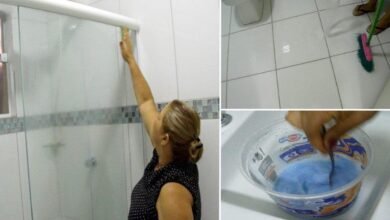 Dicas caseiras para limpar o banheiro fácil, barato e eficaz