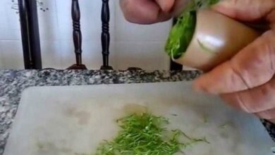 Truque para cortar couve fininha. Super prático!