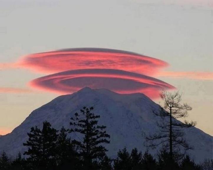 13 vezes que a natureza mostrou estar realmente confusa