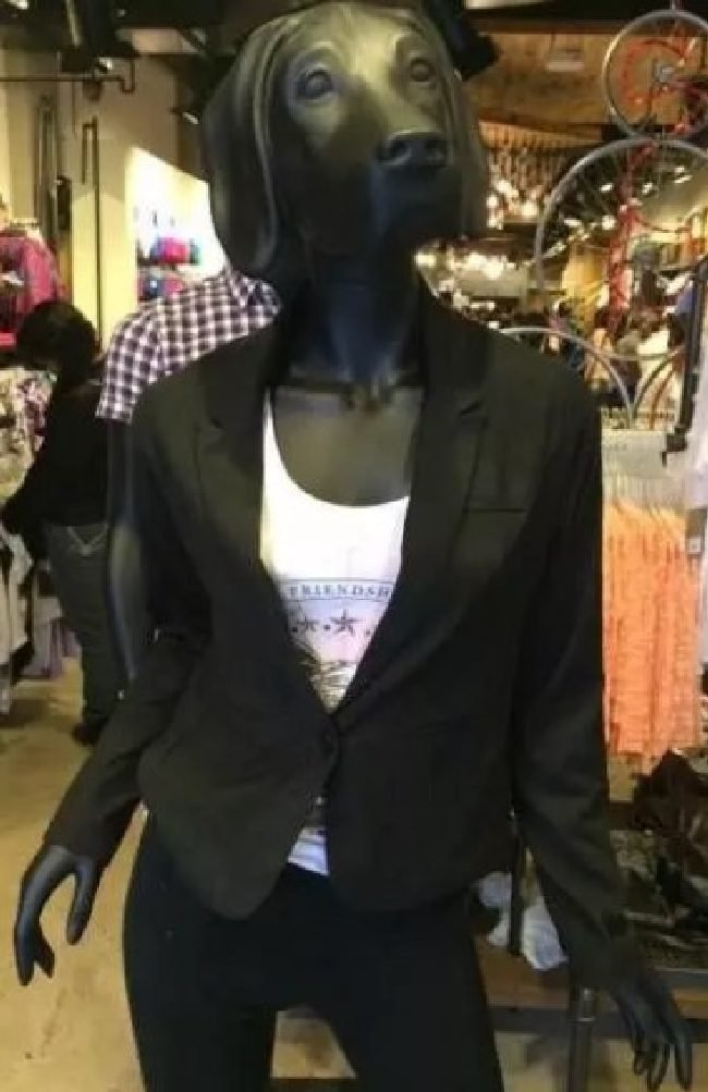 16 Manequins que tentaram lancar um novo padrao de beleza