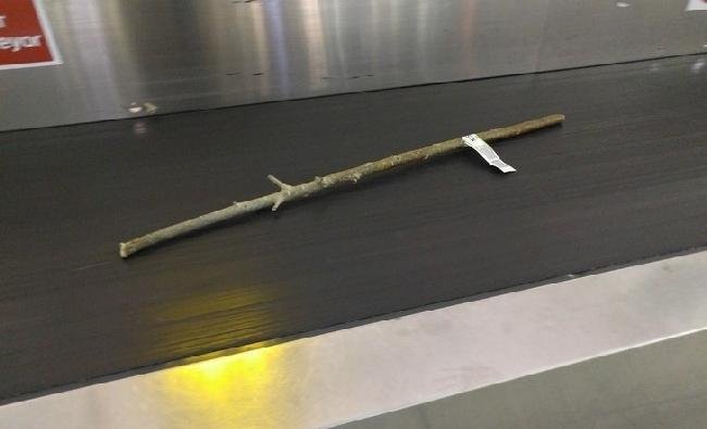 16 Pessoas que entendem que aeroportos sao uma aventura inesperada