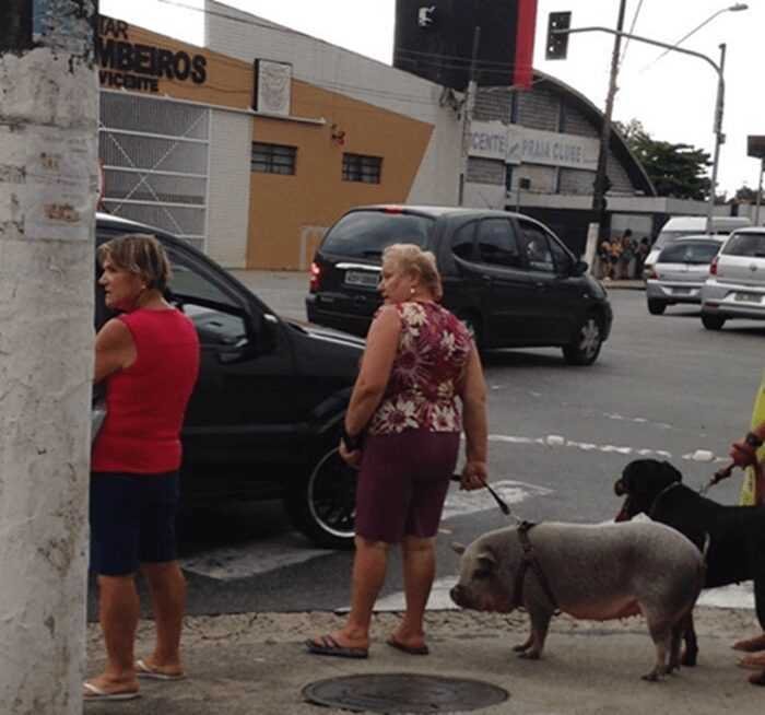 1587344234 52 28 Imagens quase sem explicacao que so podem ser encontradas