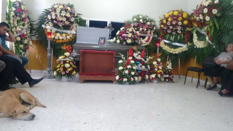 1573121185 600 Cachorro anda 8 quilometros para se despedir de sua dona