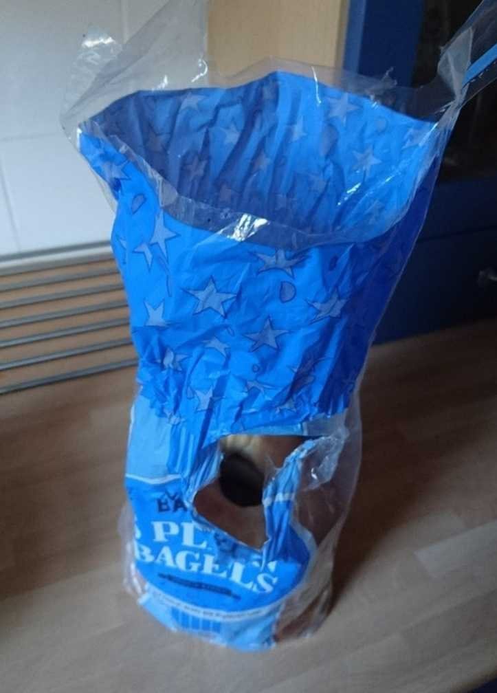 1626130153 70 23 fotos absurdas de pessoas que definitivamente nao tem nenhuma