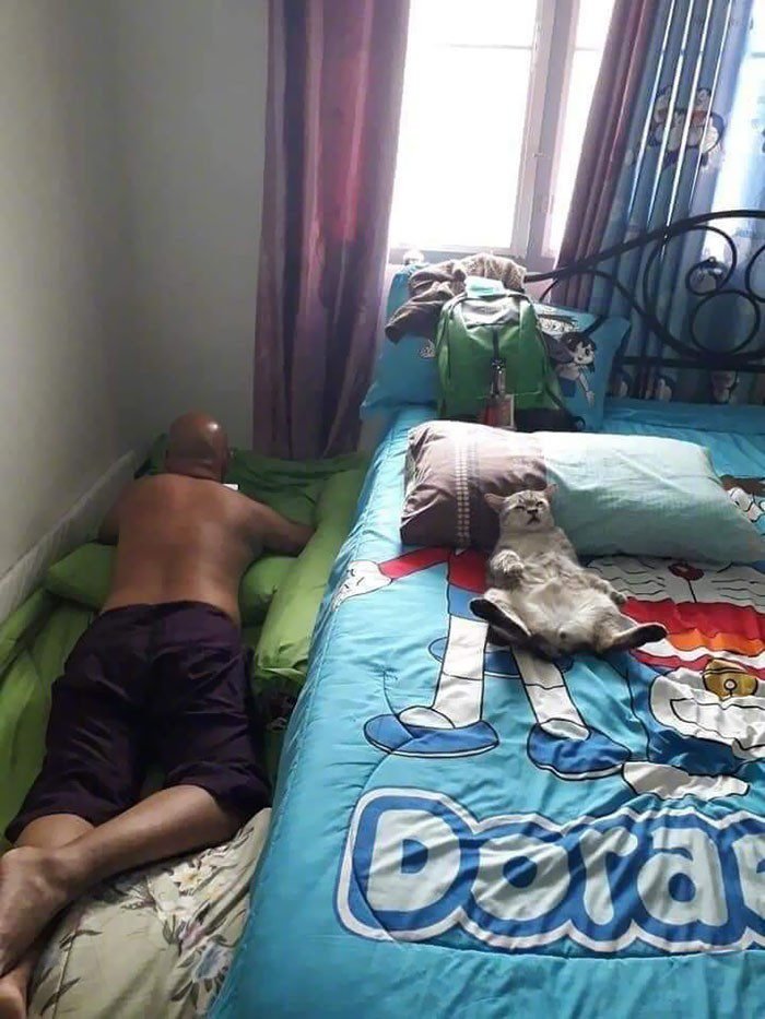 1645471947 193 20 Pais que nao queriam animais de estimacao em casa