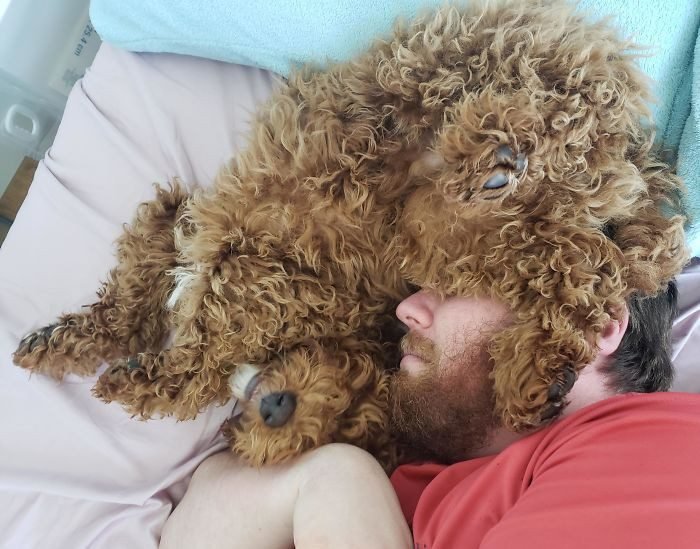 1645471968 107 20 Pais que nao queriam animais de estimacao em casa
