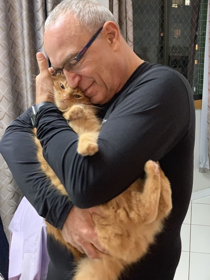 1645472021 316 20 Pais que nao queriam animais de estimacao em casa