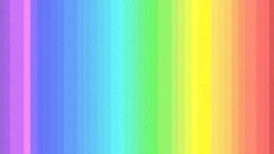 Quantas cores você vê? 1 em 4 pessoas enxergam todas as cores!