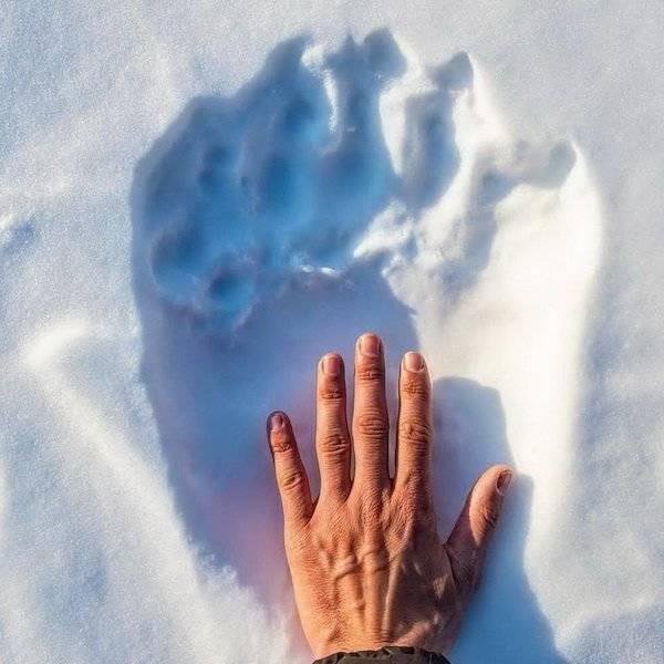 1647020697 524 21 imagens extraordinarias de coisas incomuns que irao surpreende lo