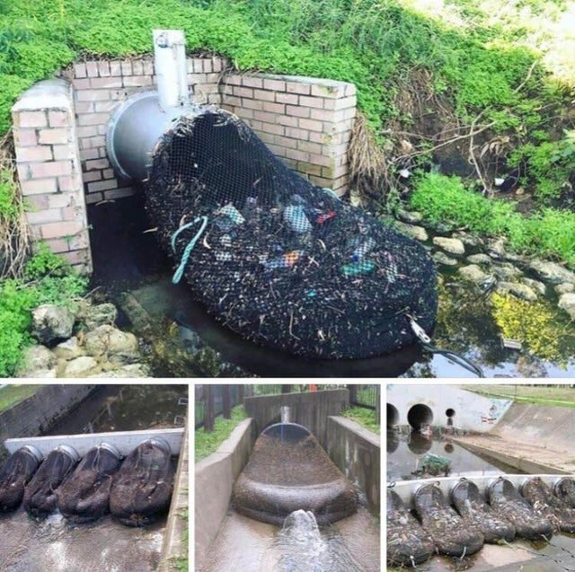 1647020700 147 21 imagens extraordinarias de coisas incomuns que irao surpreende lo