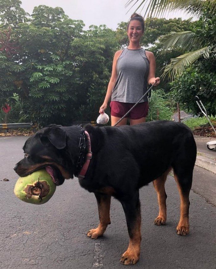 1625001894 435 20 Objetos e animais que de tao grandes que fazem