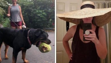 20 Objetos e animais que de tão grandes que fazem qualquer um se sentir uma formiga