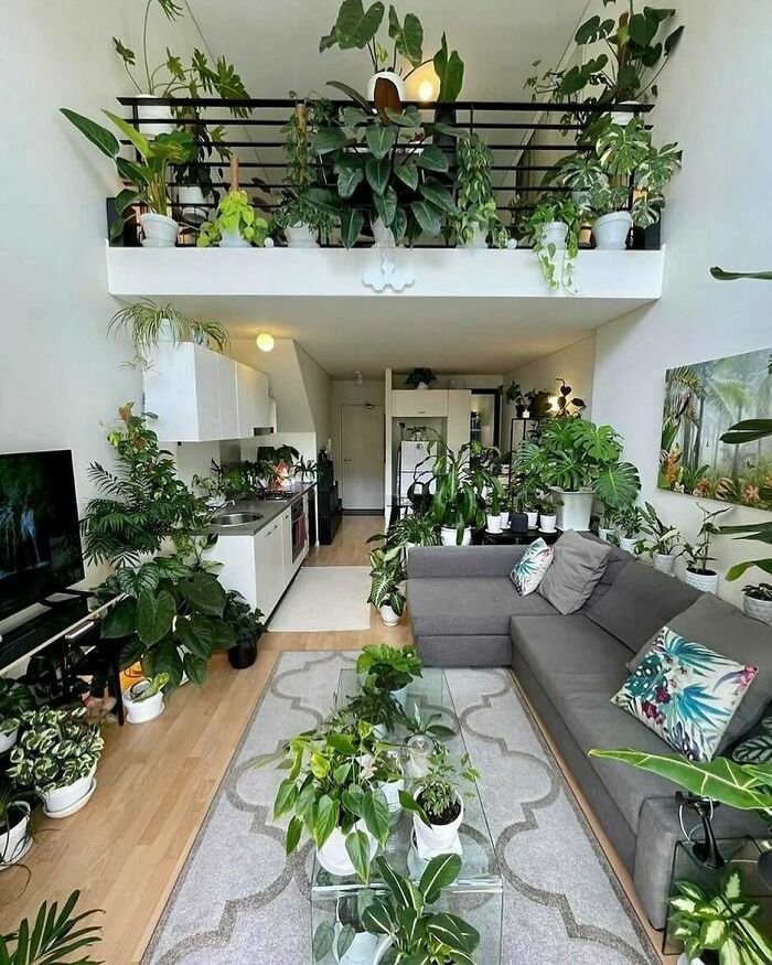 1647369467 608 20 vezes em que as imobiliarias pioraram o que ja
