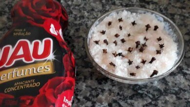 Aromatizador caseiro: misture sal grosso com amaciante e mantenha sua casa perfumada
