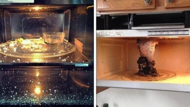 15 Pessoas que não fazem a mínima ideia de como usar um micro-ondas