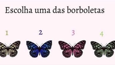 Teste Escolha uma das 4 borboletas e saiba a mensagem