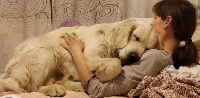 1628637912 775 15 Fotos que mostram o amor mais puro em todas