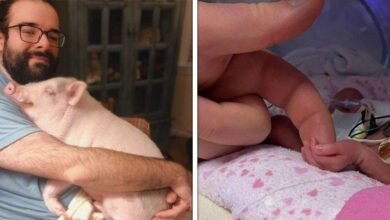 15 Fotos que mostram o amor mais puro em todas as suas formas