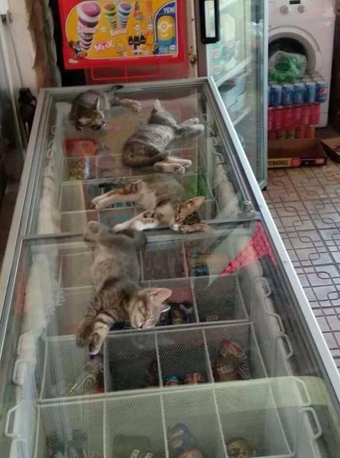 1629628560 296 21 Fotos que mostram as consequencias das ondas de calor