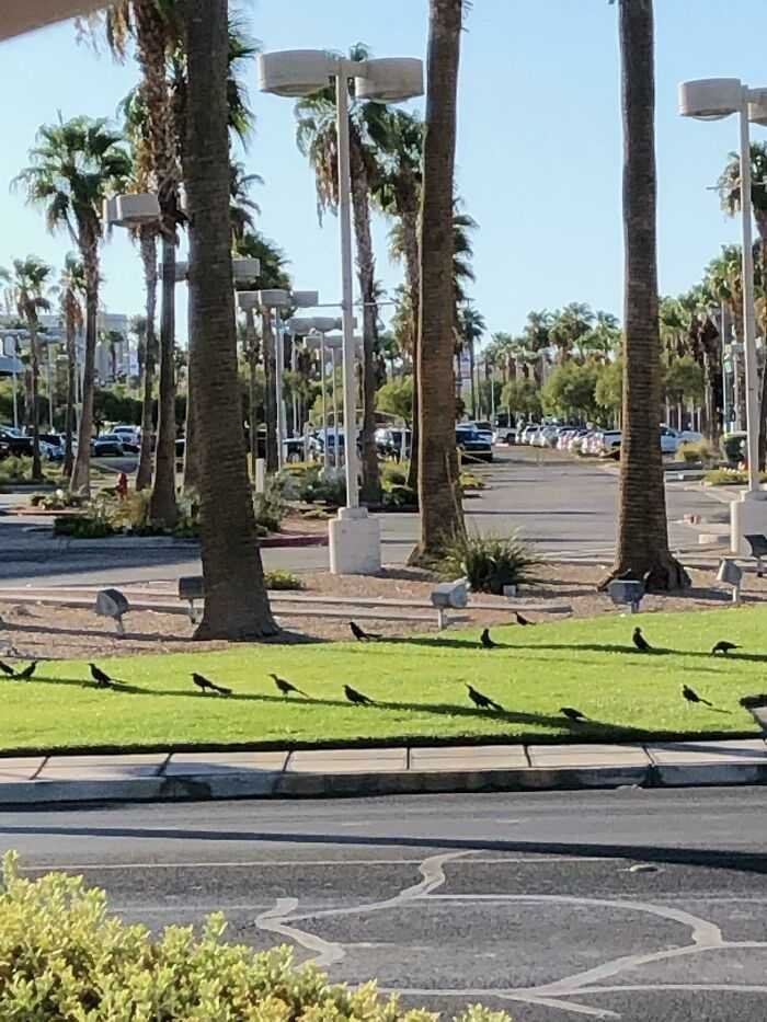 1629628564 117 21 Fotos que mostram as consequencias das ondas de calor