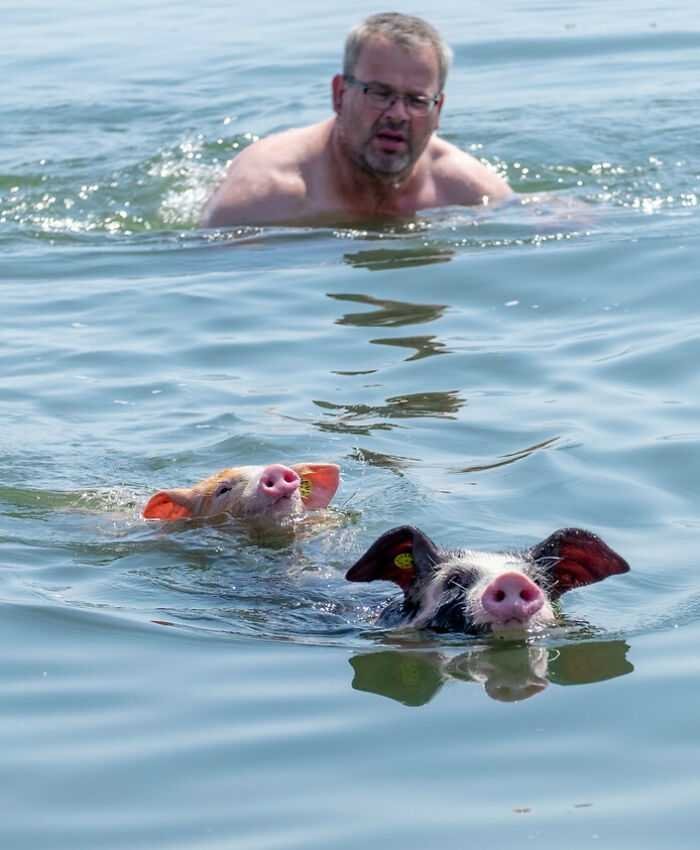 1629628567 732 21 Fotos que mostram as consequencias das ondas de calor