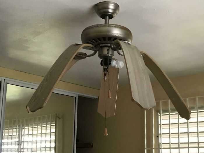 1629628568 290 21 Fotos que mostram as consequencias das ondas de calor