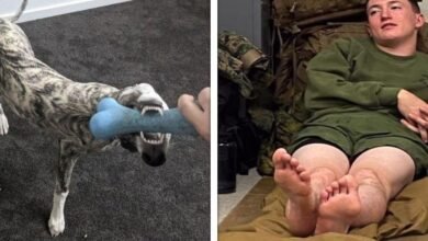 18 imagens que podem surpreender até as mentes mais observadoras