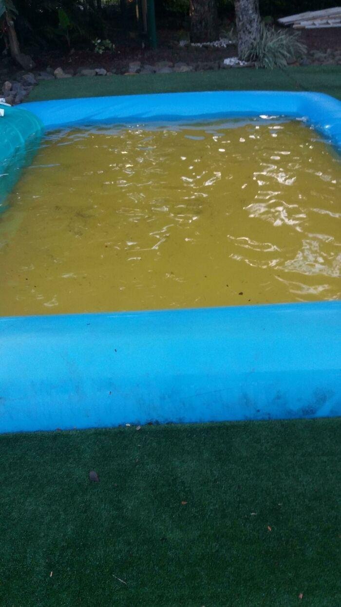 1613614800 813 22 Vezes em que os designers criaram coisas que parecem