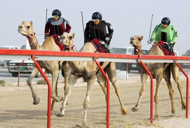 1597021762 974 15 Coisas curiosas e exuberantes que so acontecem em Dubai
