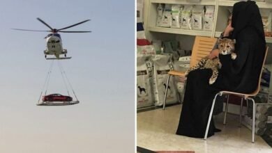15 Coisas exuberantes e curiosas que só acontecem em Dubai