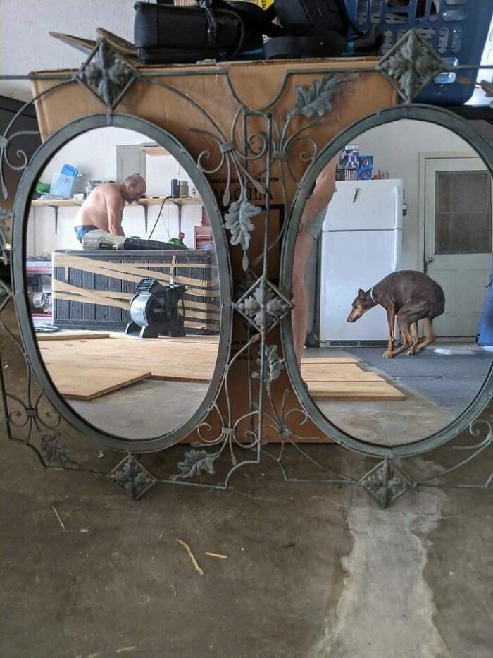 1649461762 477 20 Pessoas que tentaram vender espelhos e usaram toda a