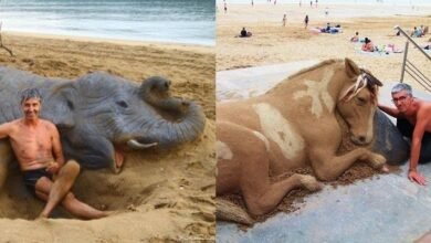 Artista basco faz esculturas de areia tão perfeitas que se parecem com animais vivos